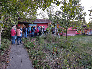 Vor Bienenstand